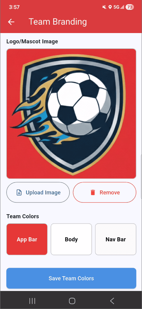 Team Branding & Colors